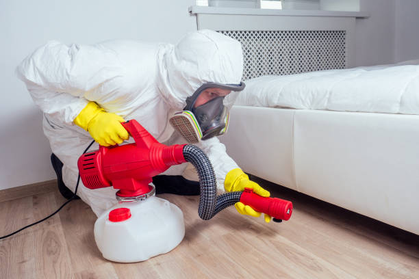 Best Pest Control Treatment  in Farmington, MN