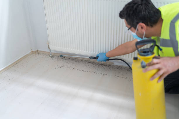 Best Pest Control Near Me  in Farmington, MN